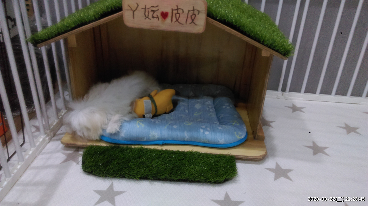 //demo.3wa.tw/photo/small.php?w_size=1280&compassion=95&file_name=users/shadow/1600783921_2.jpg&noshow=1&height=400