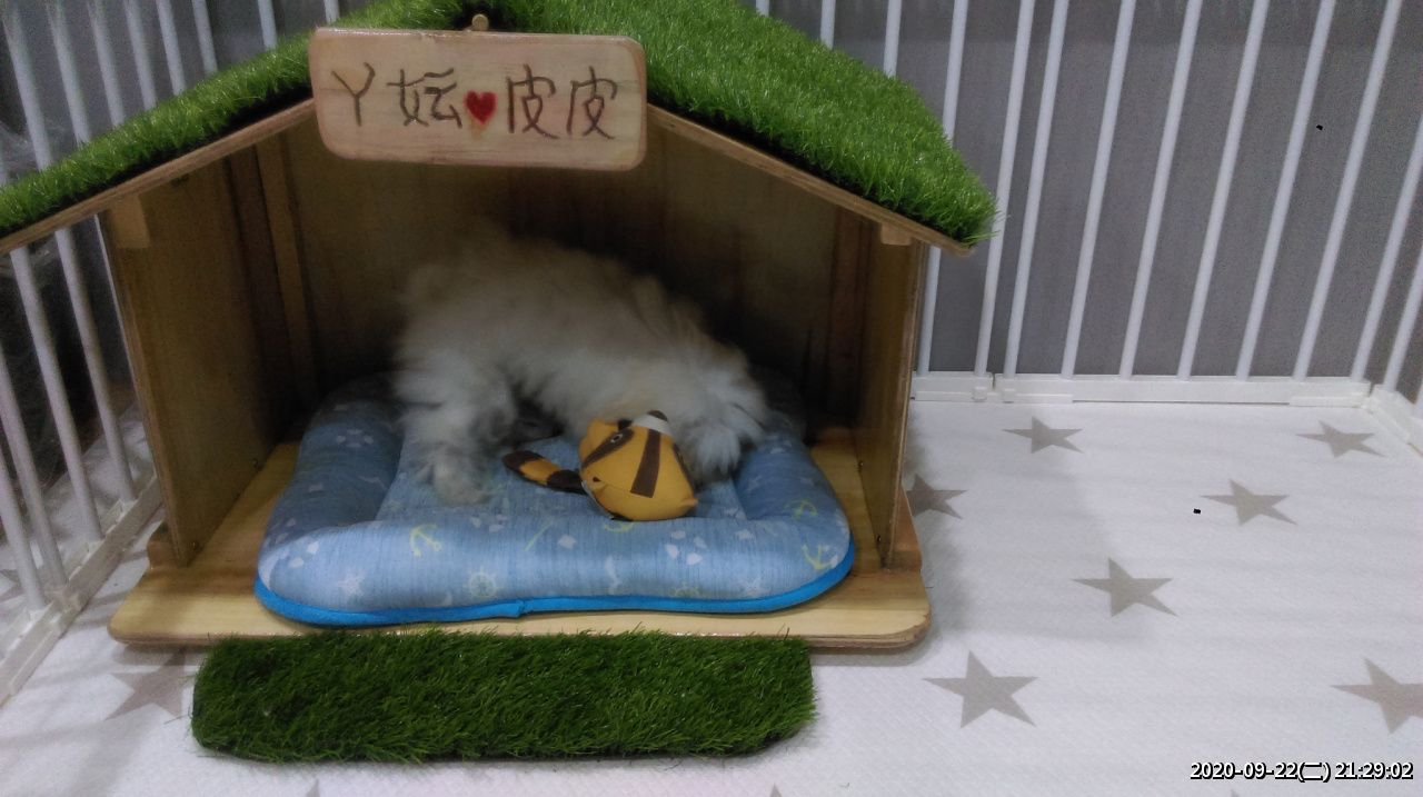 //demo.3wa.tw/photo/small.php?w_size=1280&compassion=95&file_name=users/shadow/1600783923_4.jpg&noshow=1&height=400