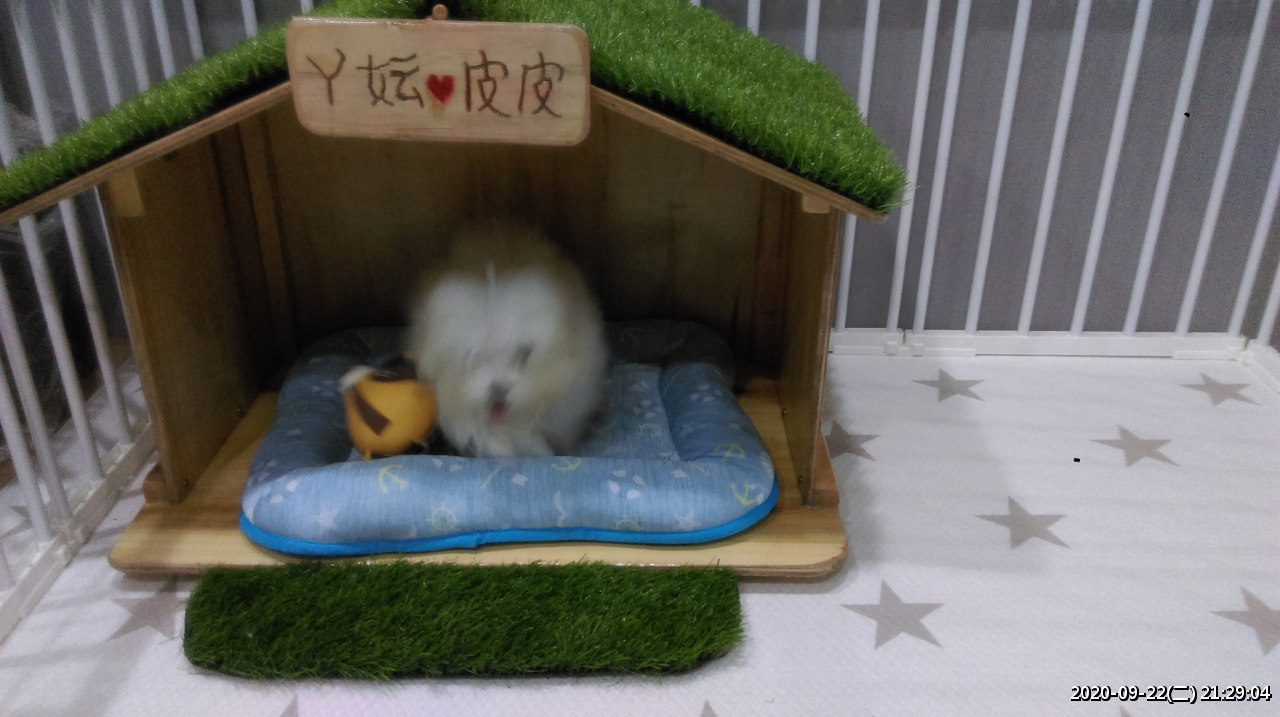 //demo.3wa.tw/photo/small.php?w_size=1280&compassion=95&file_name=users/shadow/1600783923_5.jpg&noshow=1&height=400