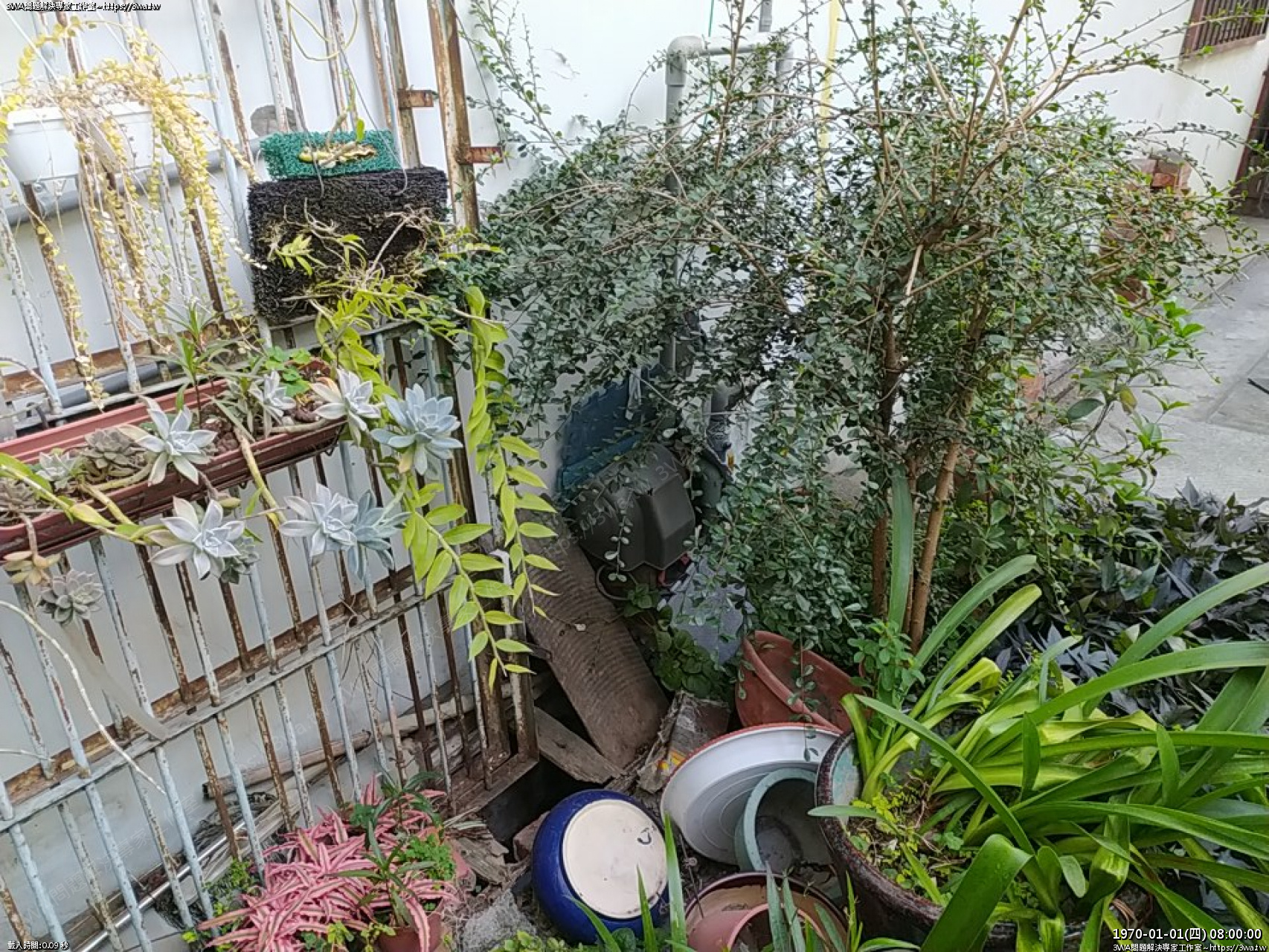 //demo.3wa.tw/photo/small.php?w_size=1280&compassion=95&file_name=users/shadow/1674296618.jpg&rotate=90