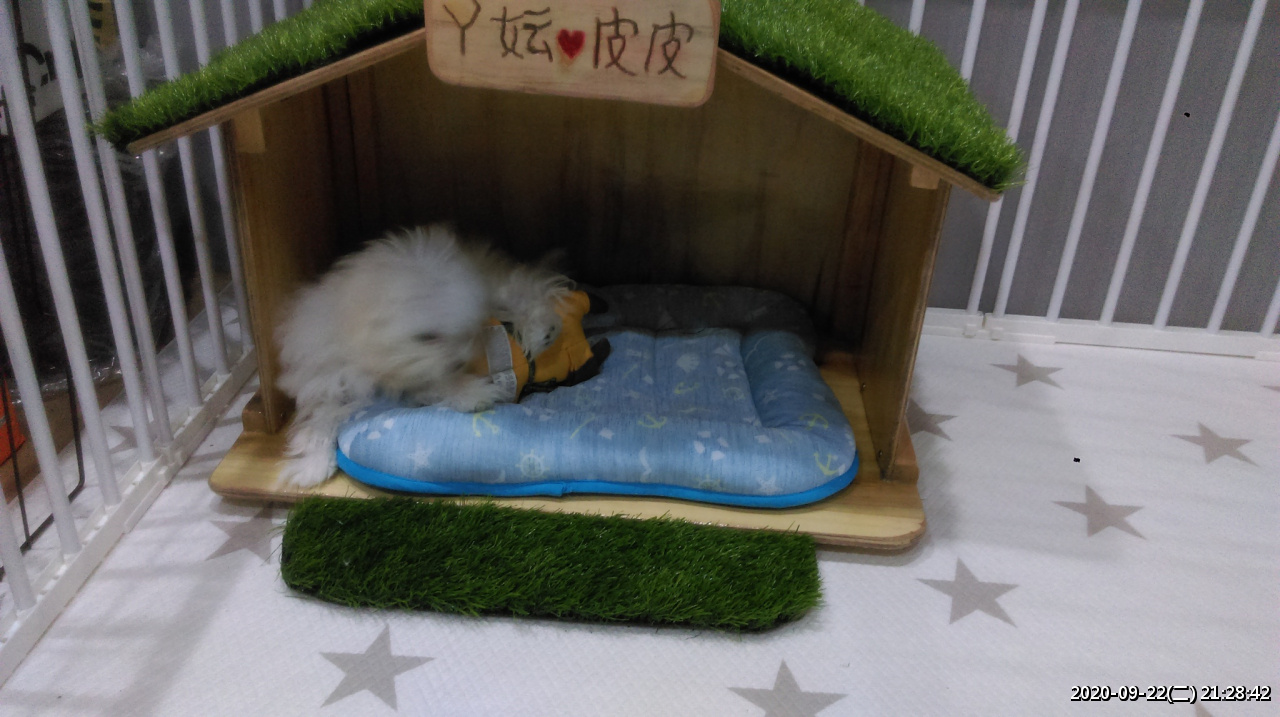 //demo.3wa.tw/photo/small.php?w_size=1280&compassion=95&file_name=users/shadow/1600783919_1.jpg&noshow=1&height=400